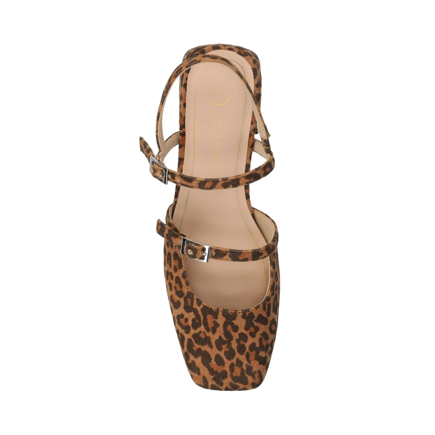 Leopard/Camel